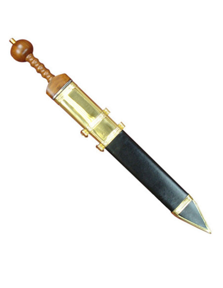 Gladius Pompeii antiguo ejército... Gladius Pompeii antiguo ejército...