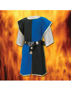Tweekleurige Middeleeuwse Ridder Tabard