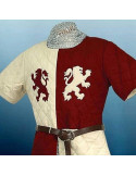 Gambeson middeleeuwse Lions Baron