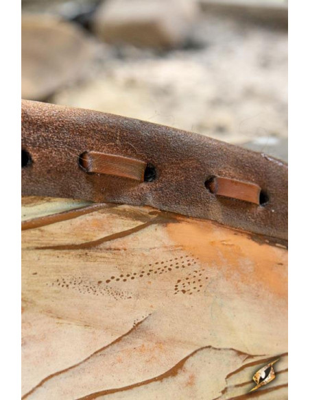 Celtic Shield Thegn Blauw-Wit in...