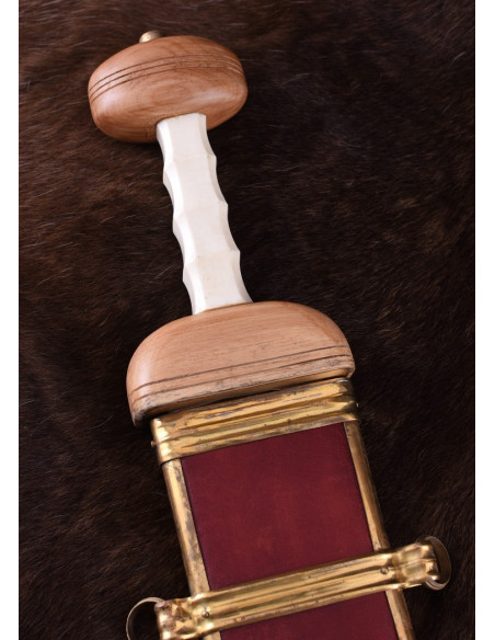 Espada Romana Gladius Mainz con...