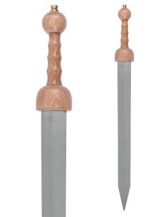 Romersk sværd Gladius Pompeji med skede, 3. århundrede f.Kr 2