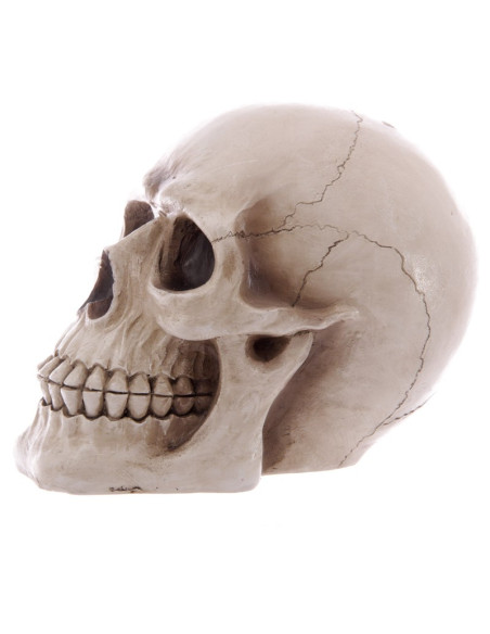 Hucha-Calavera para guardar tus ahorros