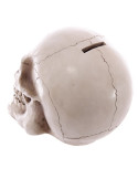 Spaarvarken-schedel om uw spaargeld op te slaan