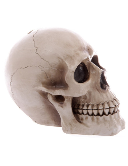 Hucha-Calavera para guardar tus ahorros