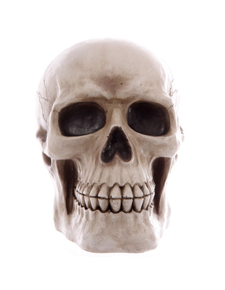 Hucha-Calavera para guardar tus ahorros