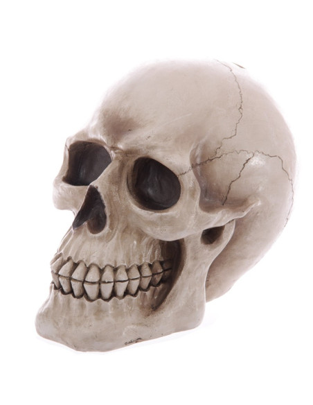 Hucha-Calavera para guardar tus ahorros