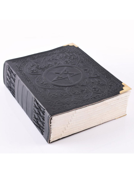 Middelalderdagbog med Pentagram