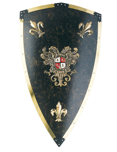 Luxe wapen van Karel V