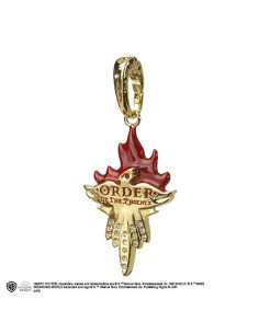 Hanger Orde van de Feniks, Lumos, Harry Potter