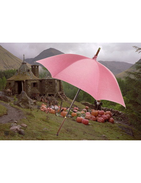 Officiel kopi af Rubeus Hagrids...