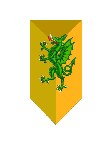 Mittelalterliches Grüner Drache Banner