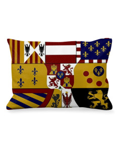 Cojín Rectangular Medieval Escudo Borbones