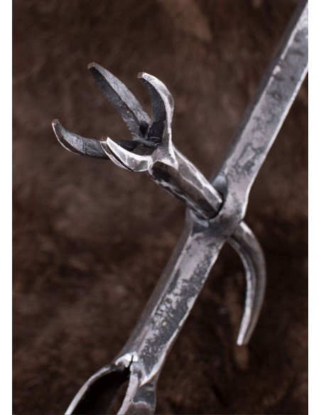 Streitkolbenkopf Luzern, S. XV-XVI