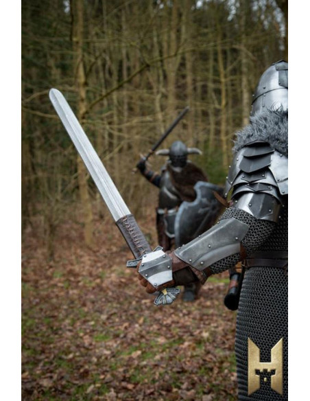 Wikingerschwert Dreki...