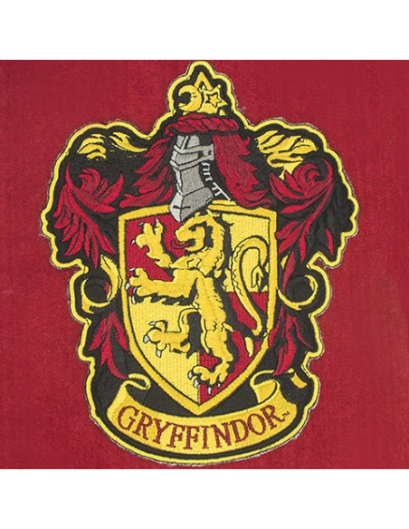 Muurbanner van Griffoendor, Harry Potter