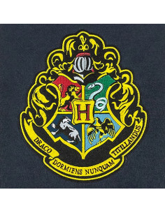 Hogwarts skolevægbanner, Harry Potter 2