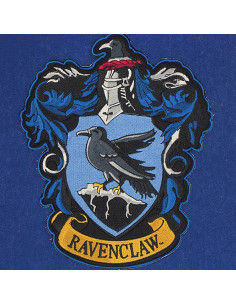 Ravenclaw-Hauswimpel, Harry Potter 2