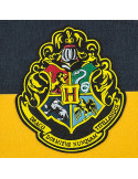 Hogwarts-Schulwimpel, Harry Potter