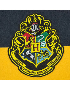 Hogwarts skolevimpel, Harry Potter 2