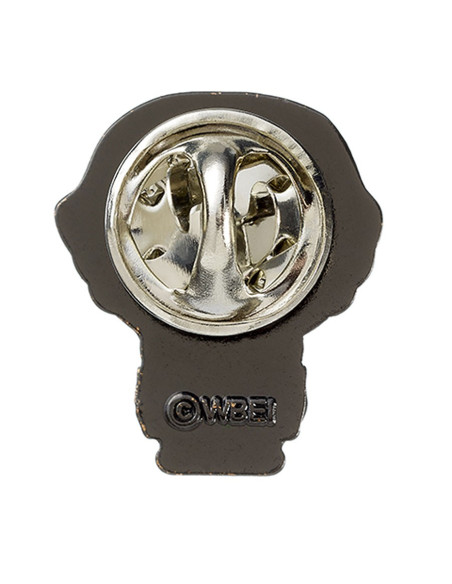 Pin af Ron Weasley, Harry Potter