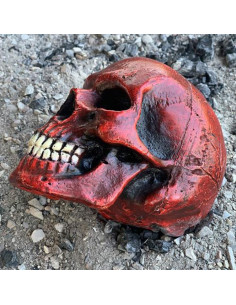 Calavera mediana color rojo 2