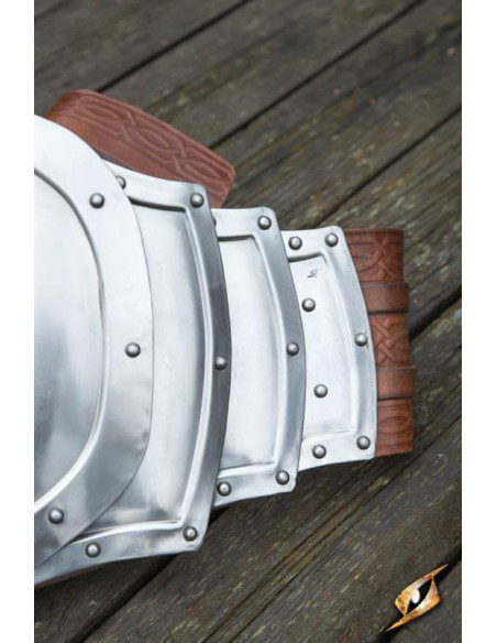 Metalen wilde pancera, gepolijste...