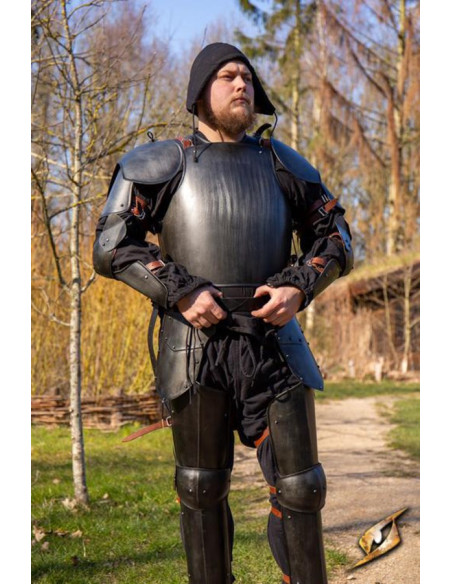 Middeleeuwse schildknaap, zwarte...