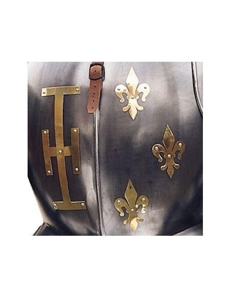 Natürliche Rüstung mit Schild und Speer