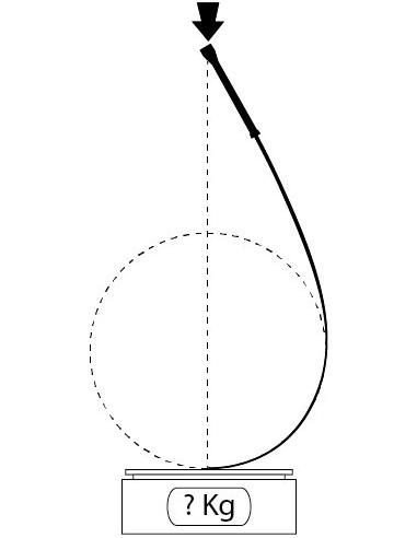 Rapier Sword med fleksibel klinge og sikkerhedsspids til HEMA