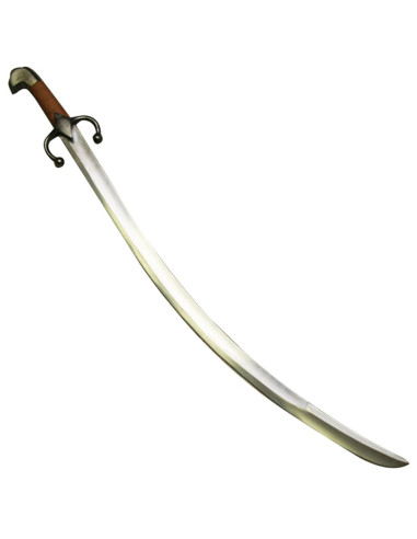 Polsk Saber Karabela, kamp
