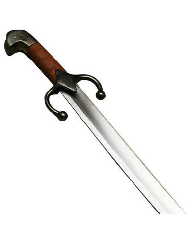 Polsk Saber Karabela, kamp