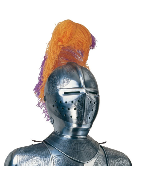 Zilveren natuurlijk pantser met gravures, pluim van veren en zwaard in de handen