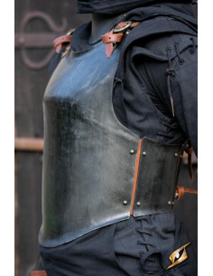 Voortuig van de Renegade Adventurer, Epic Dark finish 2