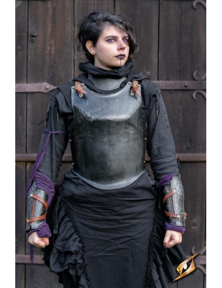 Voortuig van de Renegade Adventurer,...