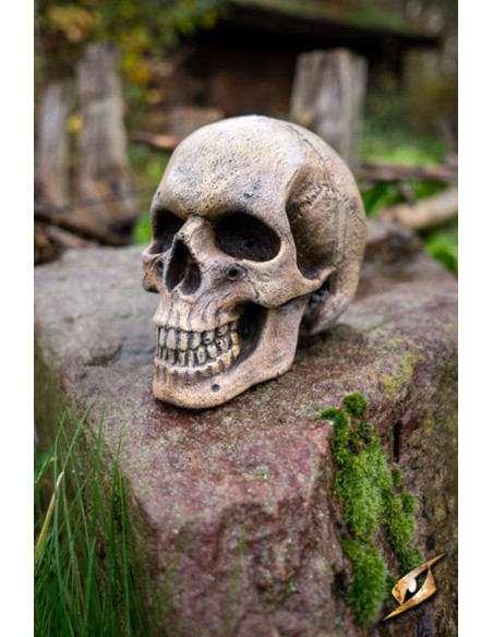 Menneskeskalle lavet af skum