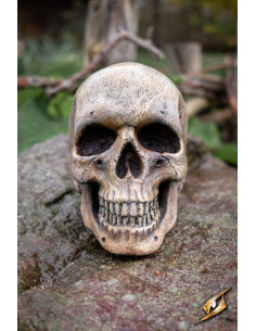 Menselijke schedel gemaakt van schuim 2