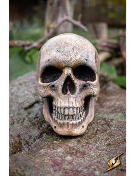 Menschlicher Schädel aus Schaumstoff