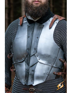 Compleet middeleeuws borsttuig model Dreki, Polished-Epic...