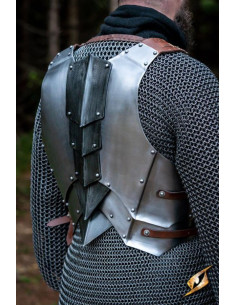 Compleet middeleeuws borsttuig model Dreki, Polished-Epic... 2