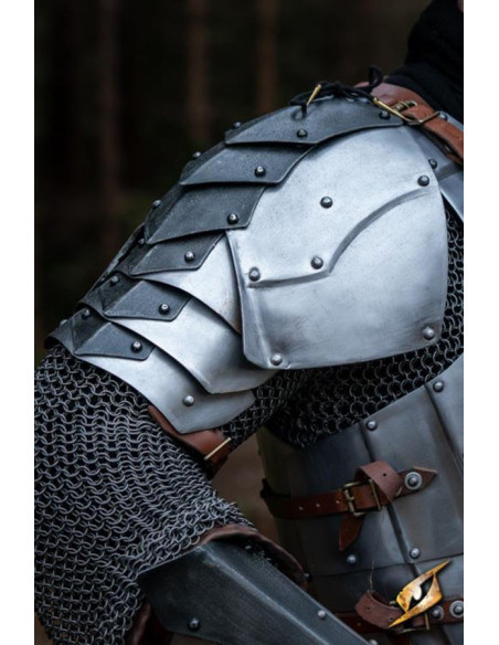 Middelalderlige skulderpuder Dreki...