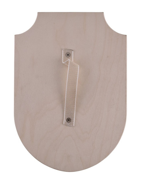 Draak houten schild, diverse kleuren