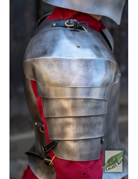 Hombreras de los Guardias del Palacio...