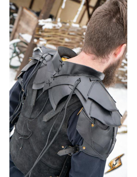 Schoudervullingen uit de Shadow...