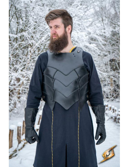 Coraza medieval de fantasía set...