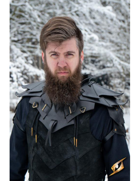 Shadow Armor Komplettset aus Leder,...