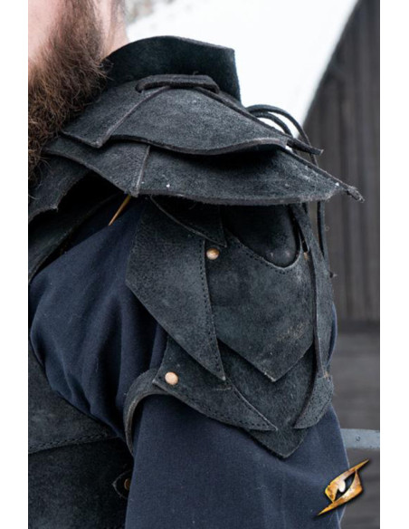 Komplettset Shadow Armor aus...