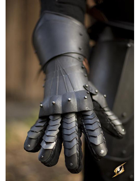 Fantastische Panzerhandschuhe der...