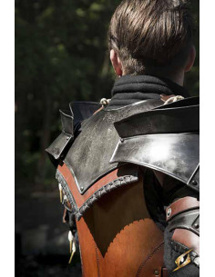 Rogue-schoudervullingen en Gorget-set, Epic Armory 2