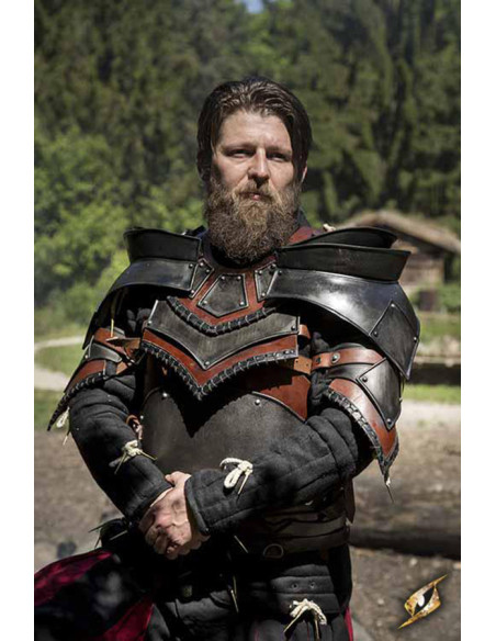 Rogue-Schulterpolster und Gorget-Set,...